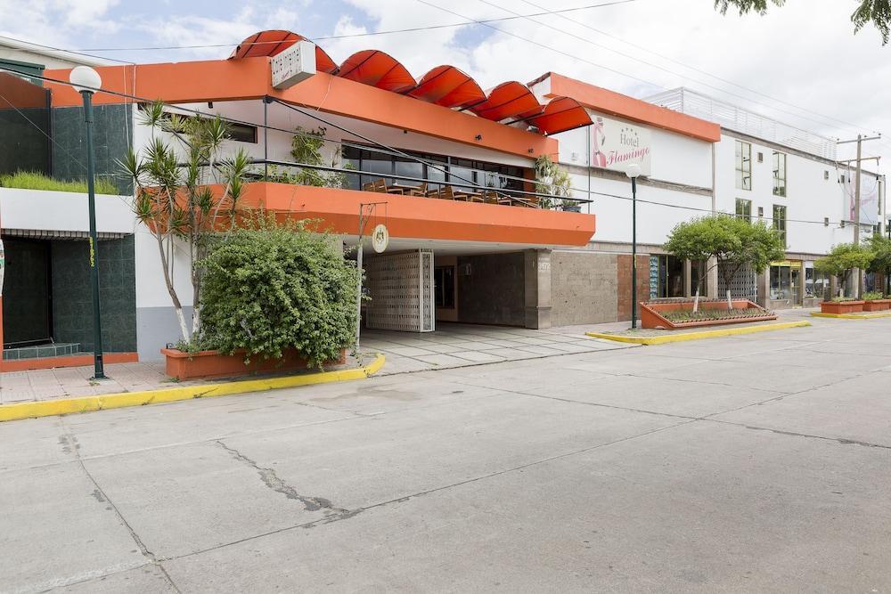 Hotel Flamingo Irapuato Exterior photo